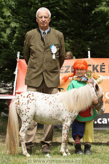 Podzámecká výstava