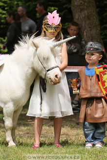 Podzámecká výstava