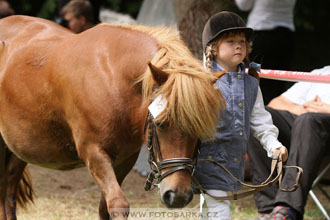 Podzámecká výstava