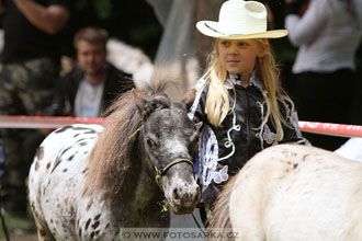 Podzámecká výstava