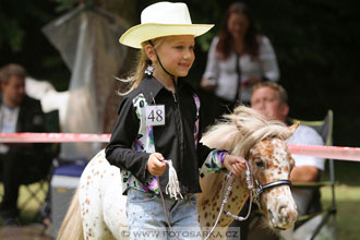 Podzámecká výstava