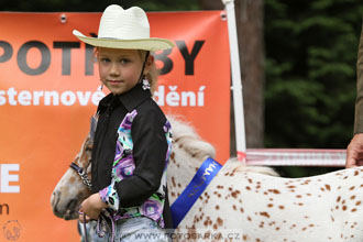 Podzámecká výstava