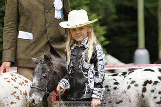 Podzámecká výstava