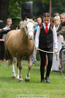 Podzámecká výstava