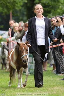 Podzámecká výstava