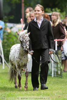 Podzámecká výstava