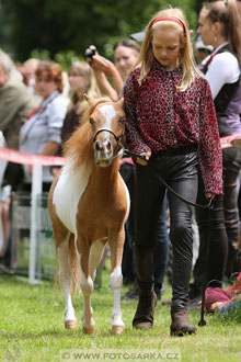 Podzámecká výstava
