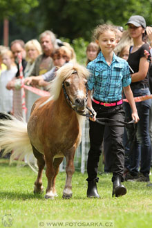 Podzámecká výstava