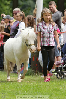 Podzámecká výstava