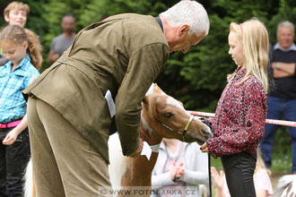 Podzámecká výstava