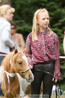 Podzámecká výstava