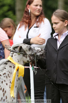 Podzámecká výstava