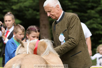 Podzámecká výstava