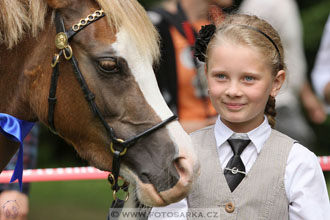 Podzámecká výstava