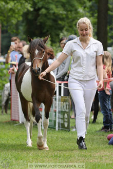 Podzámecká výstava