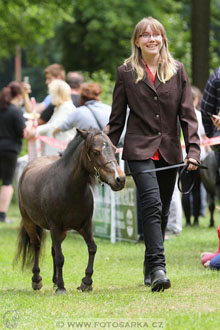Podzámecká výstava