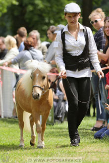 Podzámecká výstava