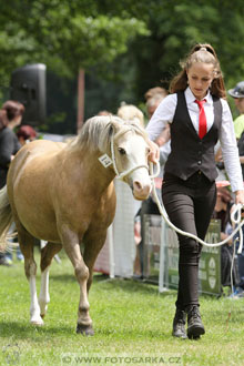 Podzámecká výstava