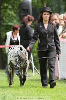 Podzámecká výstava