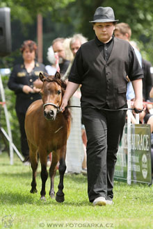 Podzámecká výstava