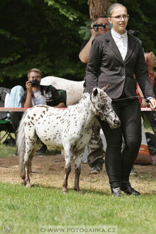 Podzámecká výstava