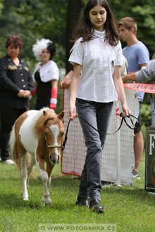 Podzámecká výstava