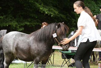 Podzámecká výstava