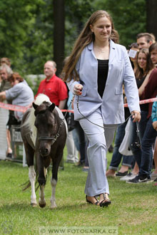 Podzámecká výstava
