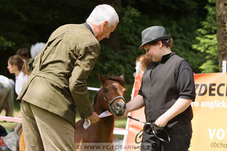 Podzámecká výstava