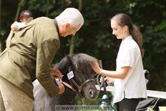 Podzámecká výstava