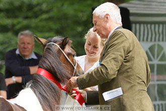 Podzámecká výstava