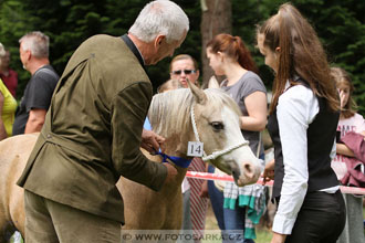 Podzámecká výstava