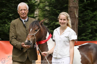 Podzámecká výstava