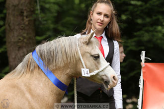 Podzámecká výstava