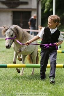 Podzámecká výstava
