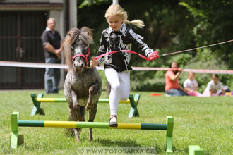 Podzámecká výstava