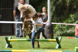 Podzámecká výstava