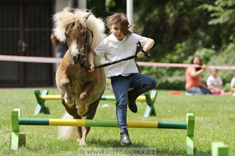 Podzámecká výstava
