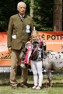 Podzámecká výstava