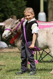 Podzámecká výstava