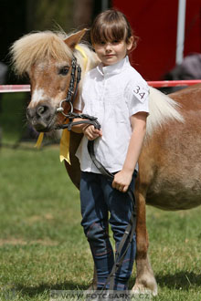 Podzámecká výstava