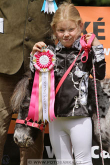 Podzámecká výstava