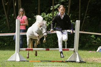 Podzámecká výstava