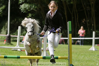Podzámecká výstava