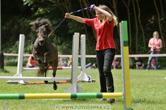 Podzámecká výstava