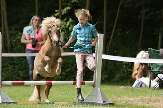 Podzámecká výstava
