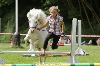 Podzámecká výstava