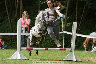 Podzámecká výstava