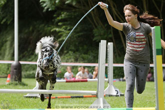 Podzámecká výstava