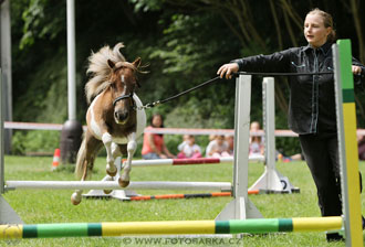 Podzámecká výstava